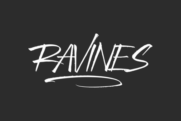 Ravines: A Bold Brushed Display Font